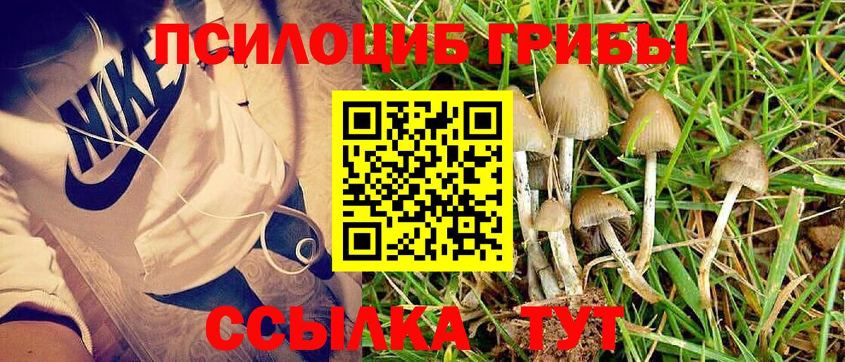 Красноармейск  Псилоцибиновые грибы Magic Shrooms  Вход с VPN  Галлюциногенные грибы GOLDEN TEACHER 
